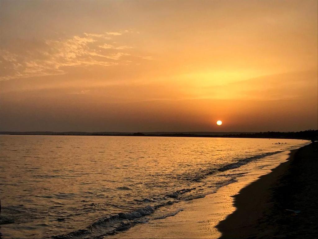 Figoli Guesthouse Oristano Dış mekan fotoğraf